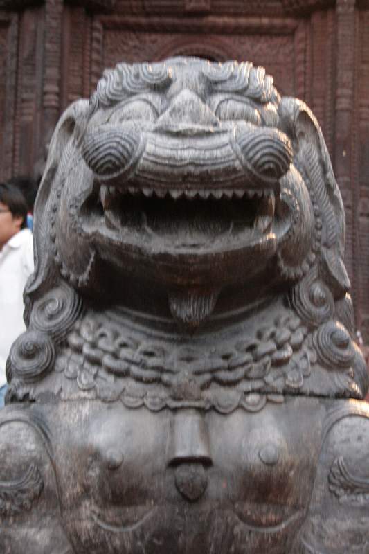 India & Nepal 2011 - 0140